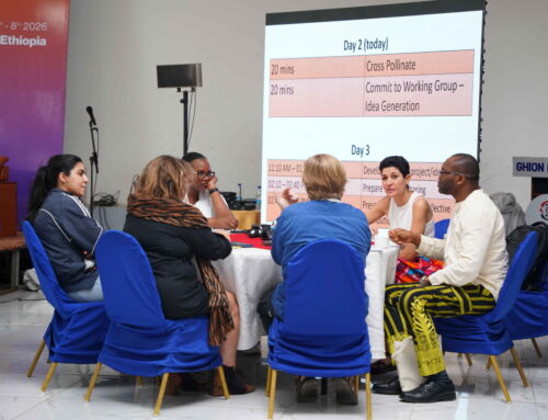 Mawred Participates in PANAF’s 3rd Summit in Addis Ababa